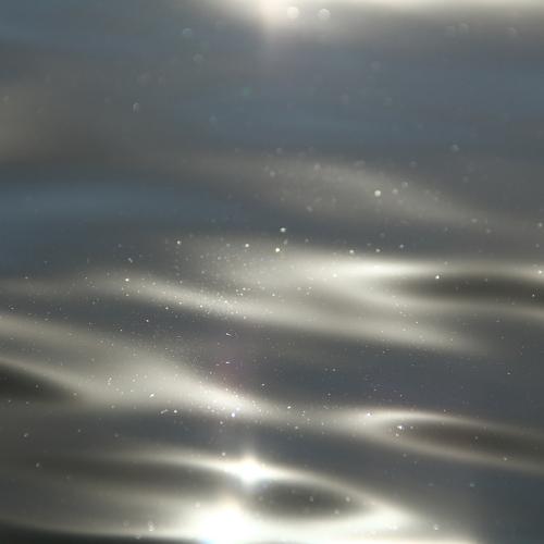 Photo #5170015