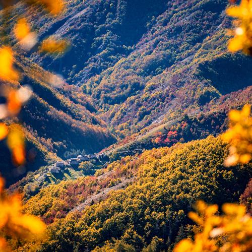 Photo #5170809
