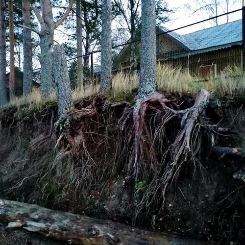 Photo #5171029