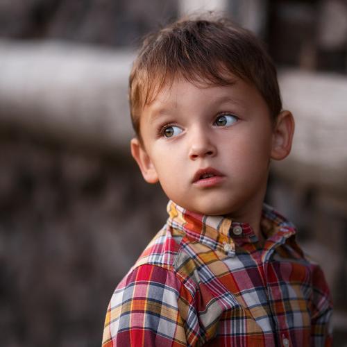 Photo #5171182
