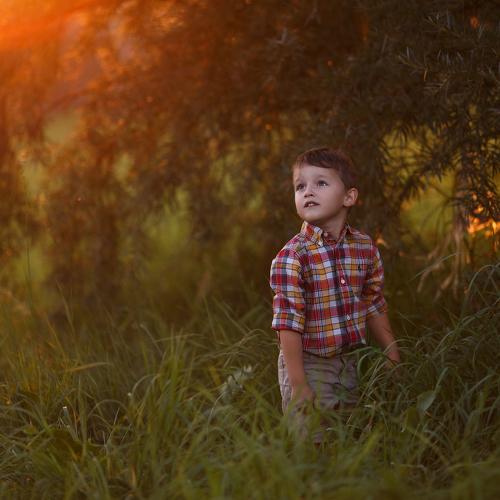 Photo #5171183