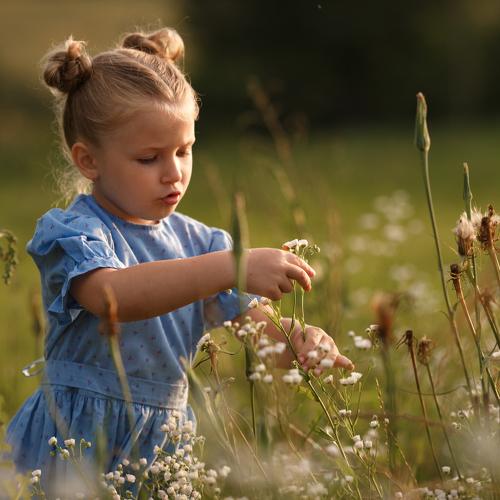 Photo #5171193