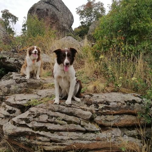 Photo #5171655