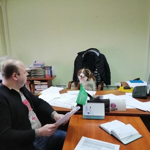 Photo #5171674
