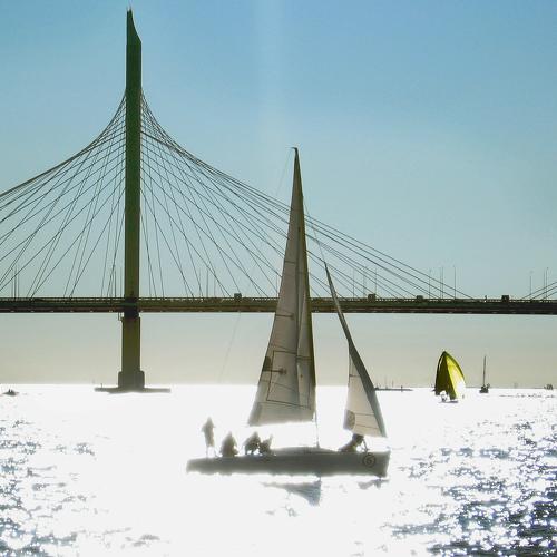 Photo #5171767