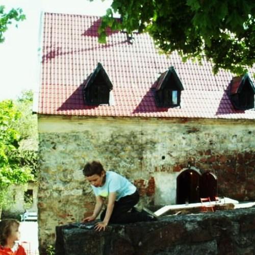 Photo #5172498