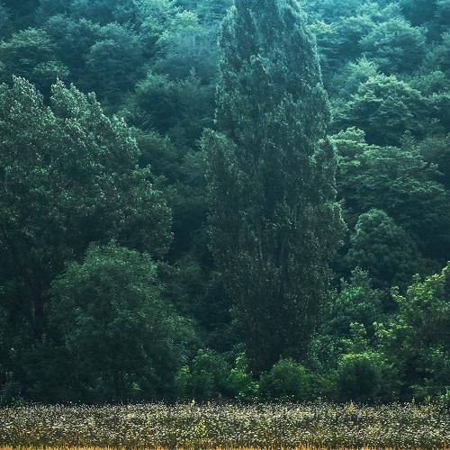 Photo #5172698