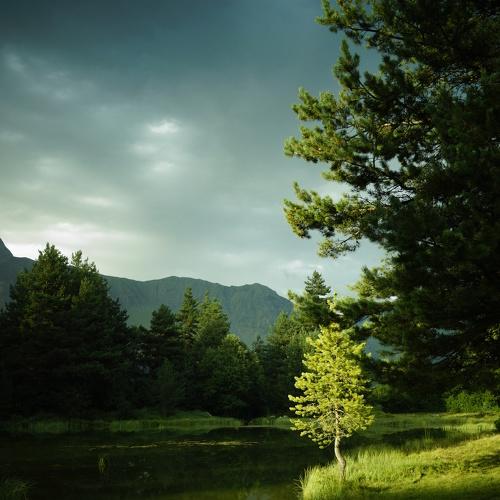 Photo #5172700