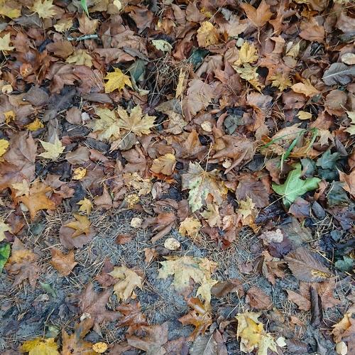 Photo #5173007