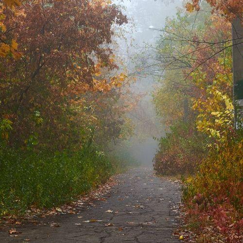 Photo #5173681