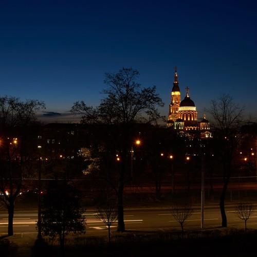Photo #5173736