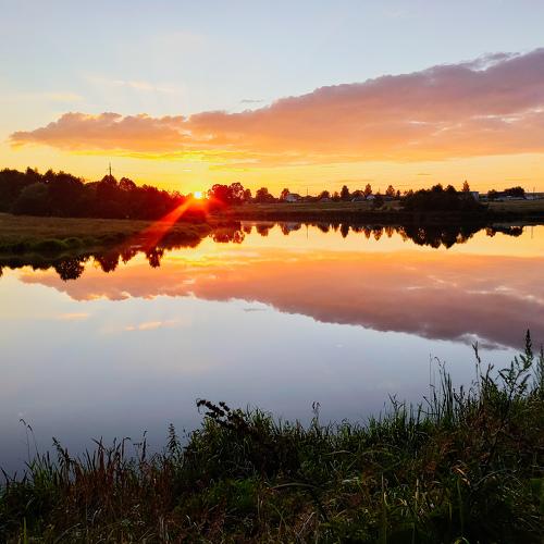 Photo #5173889