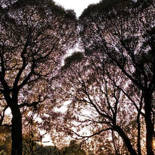 Photo #5173910