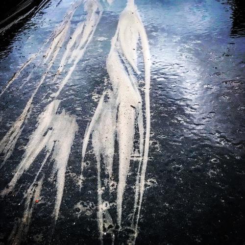 Photo #5174396