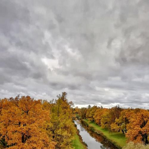 Photo #5174907
