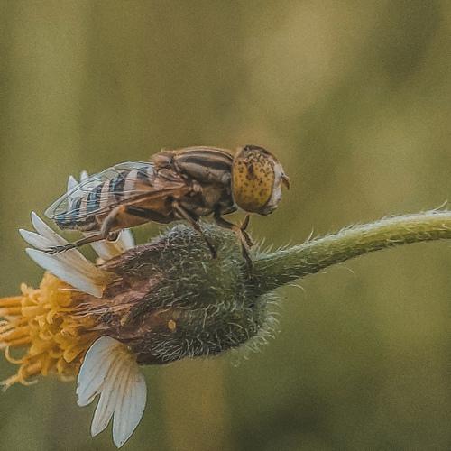 Photo #5174971
