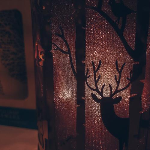 Photo #5174999