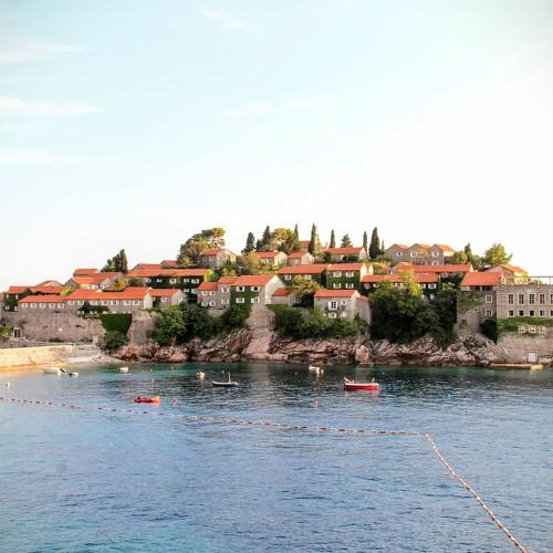 Photo #5175119