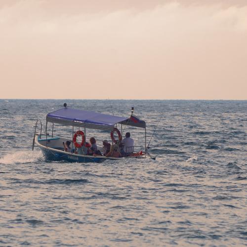 Photo #5175240