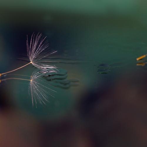 Photo #5175378