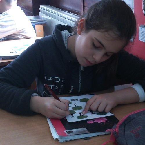 Photo #5175726