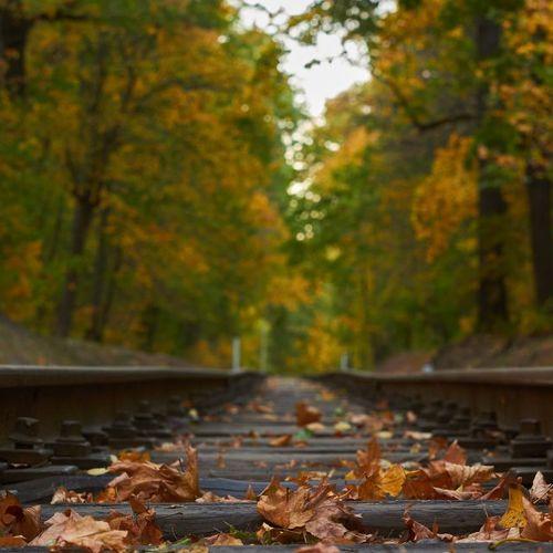 Photo #5176113