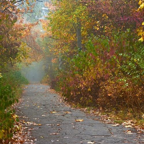 Photo #5176124