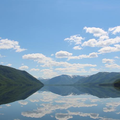 Photo #5176347