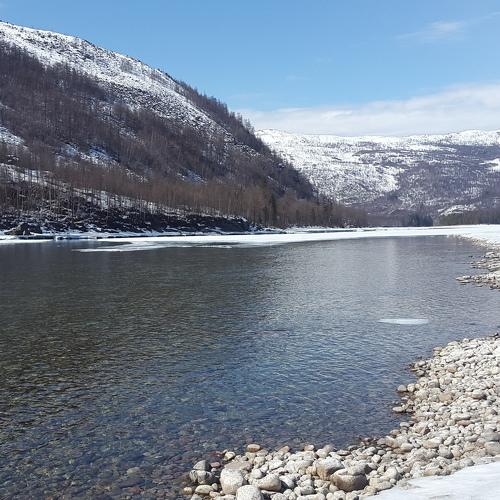 Photo #5176350