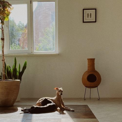 Photo #5176525