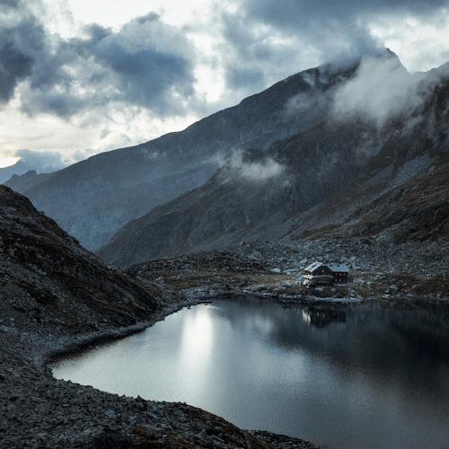 Photo #5177434