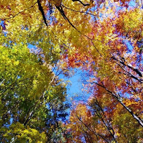 Photo #5177461