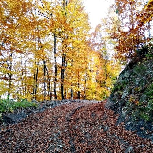 Photo #5177469