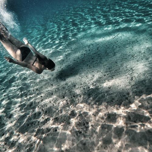 Photo #5177501