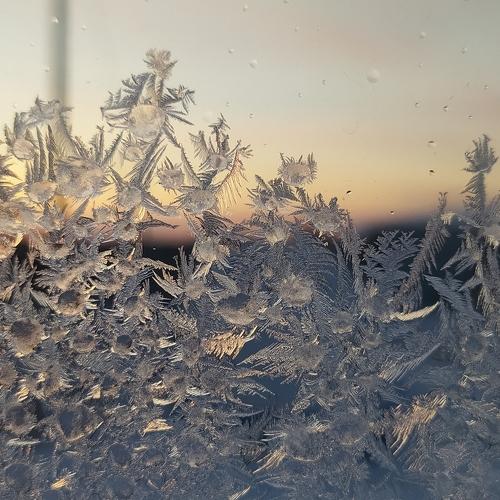 Морозное утро