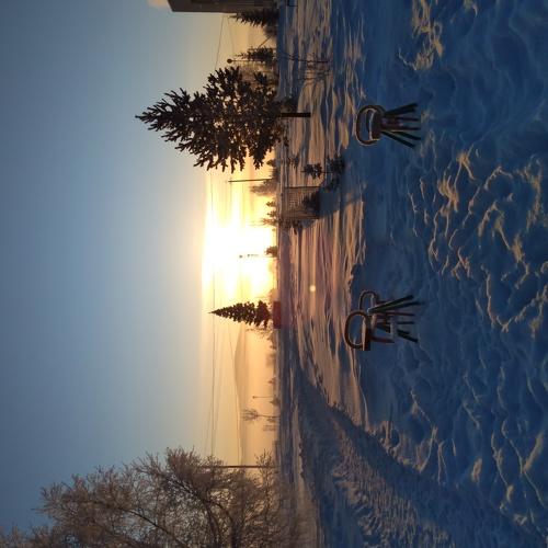 Photo #5177971