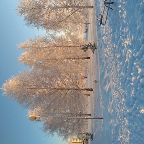 Photo #5177972