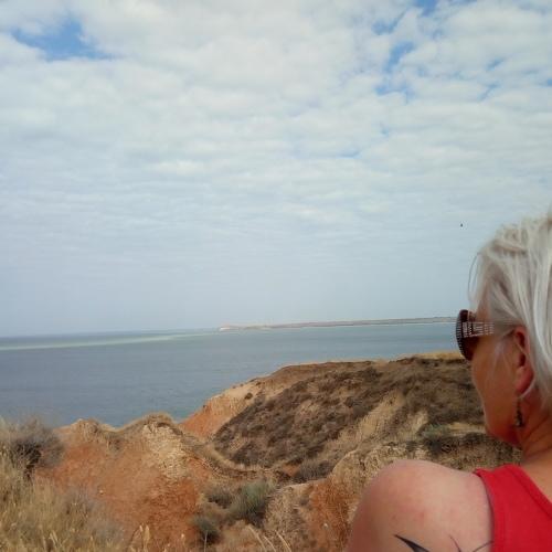 Photo #5178029