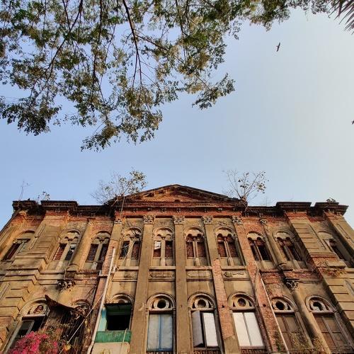 Photo #5178074