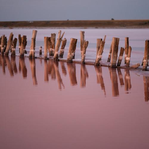 Photo #5178320