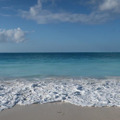 Photo #5178344