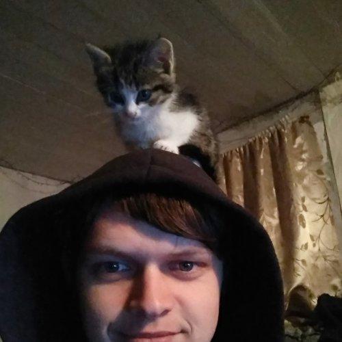 Photo #5178437