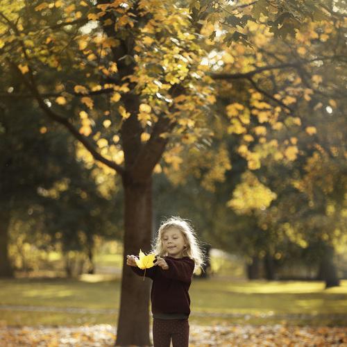 Photo #5178623