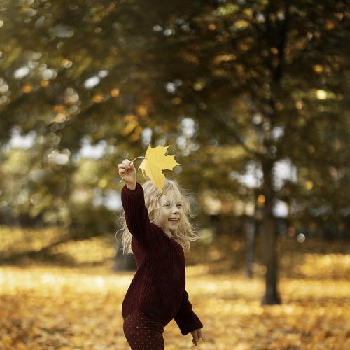 Photo #5178624