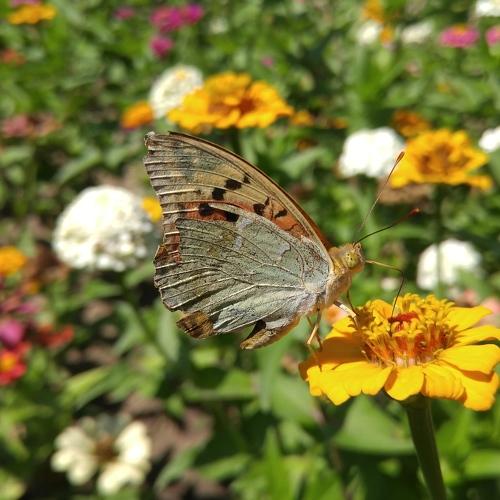 Photo #5178686