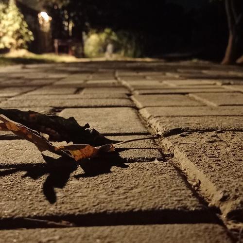Photo #5178771