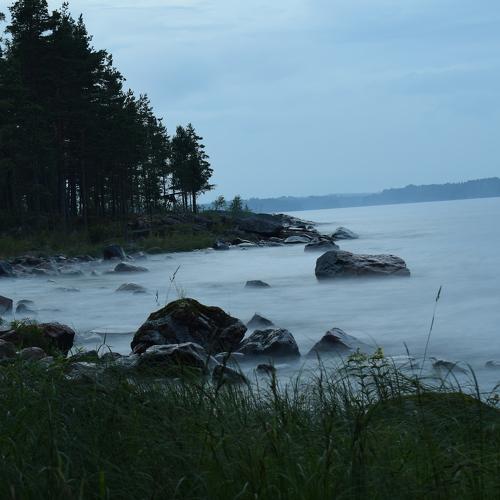 Photo #5178774