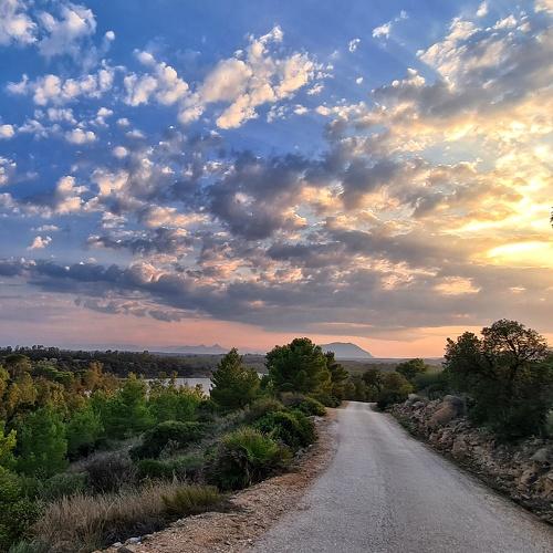 Photo #5178983