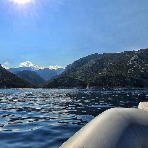 Photo #5179154