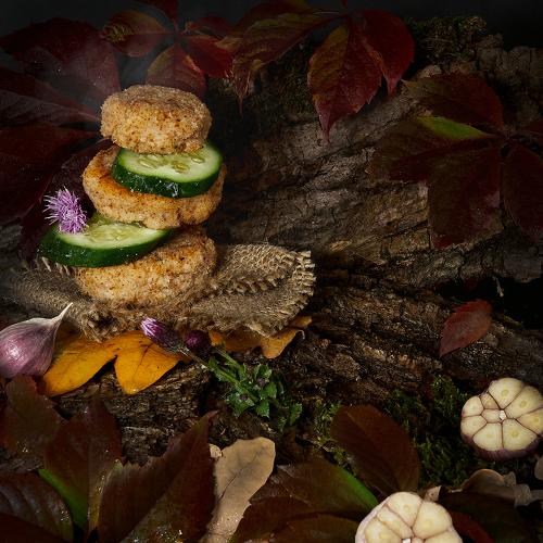 Photo #5179298